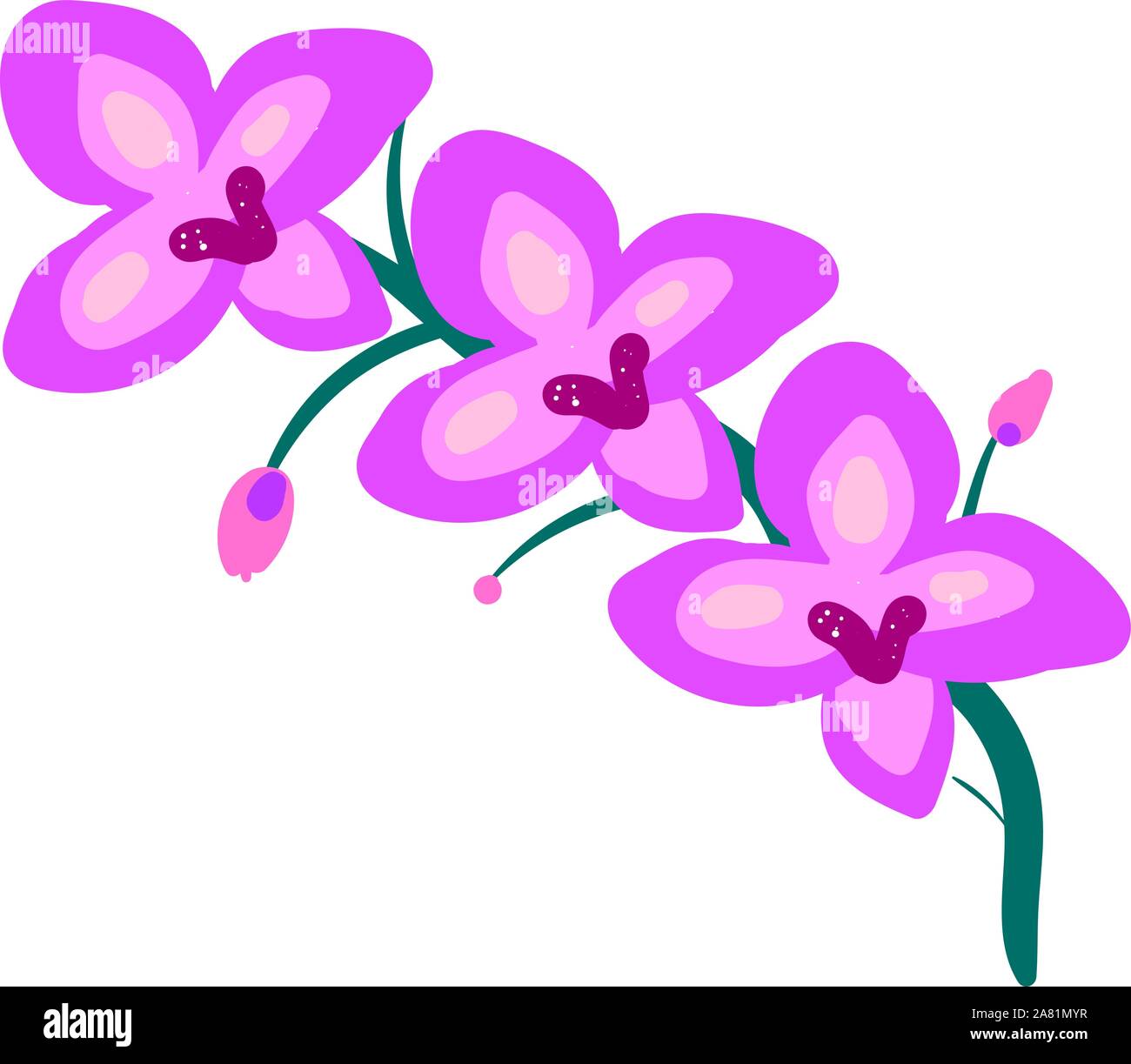 Flache Orchidee, Illustration, Vektor auf weißem Hintergrund. Stock Vektor