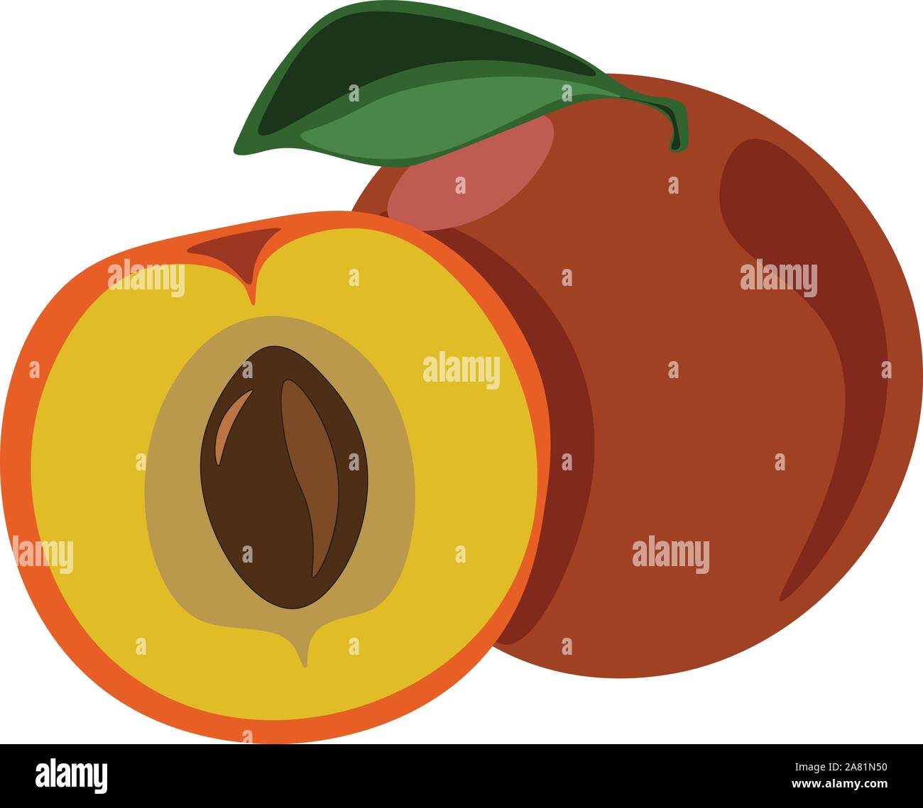Pfirsich, Illustration, Vektor auf weißem Hintergrund. Stock Vektor