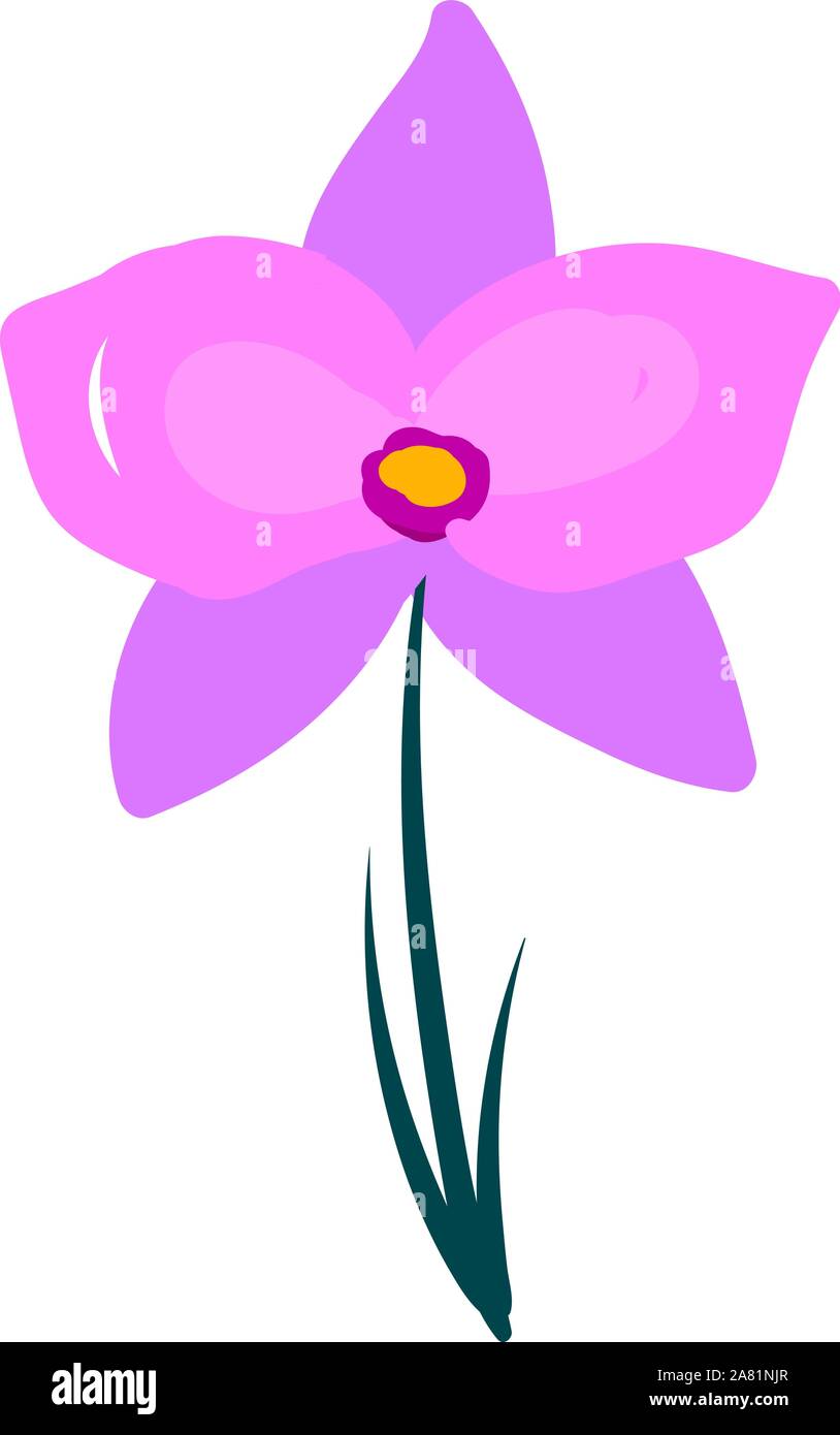 Orchid Flower, Illustration, Vektor auf weißem Hintergrund. Stock Vektor