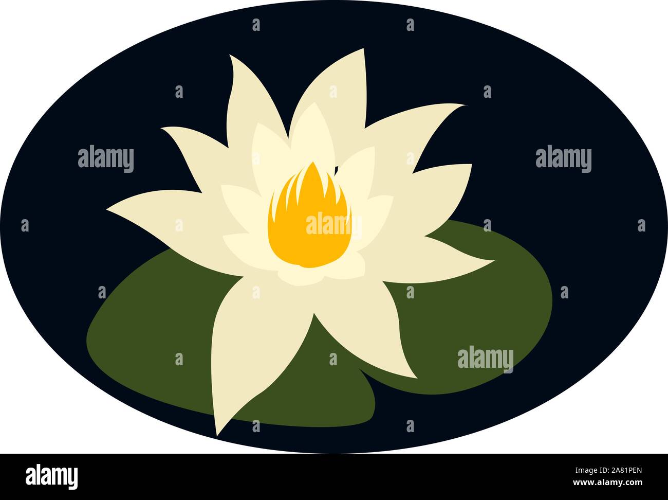 Waterliles, Illustration, Vektor auf weißem Hintergrund. Stock Vektor
