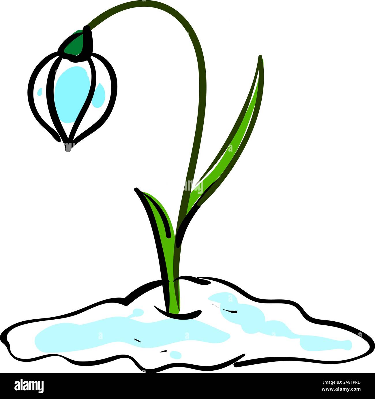 Snow drop im Schnee, Illustration, Vektor auf weißem Hintergrund. Stock Vektor