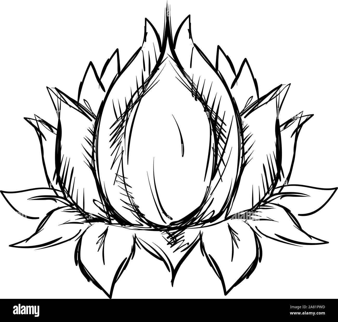 Lotus Skizze, Illustration, Vektor auf weißem Hintergrund. Stock Vektor