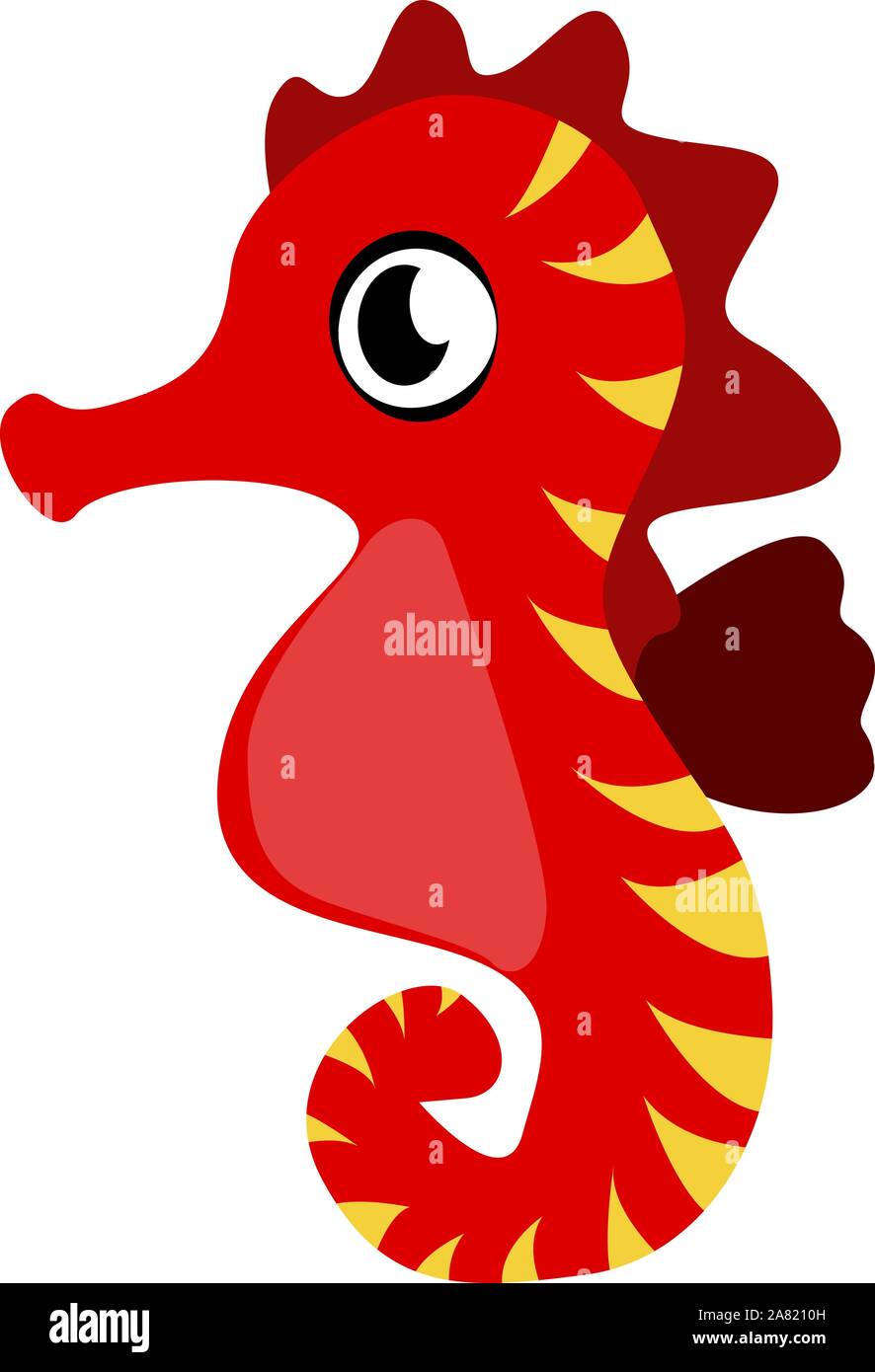 Seepferdchen, Illustration, Vektor auf weißem Hintergrund. Stock Vektor