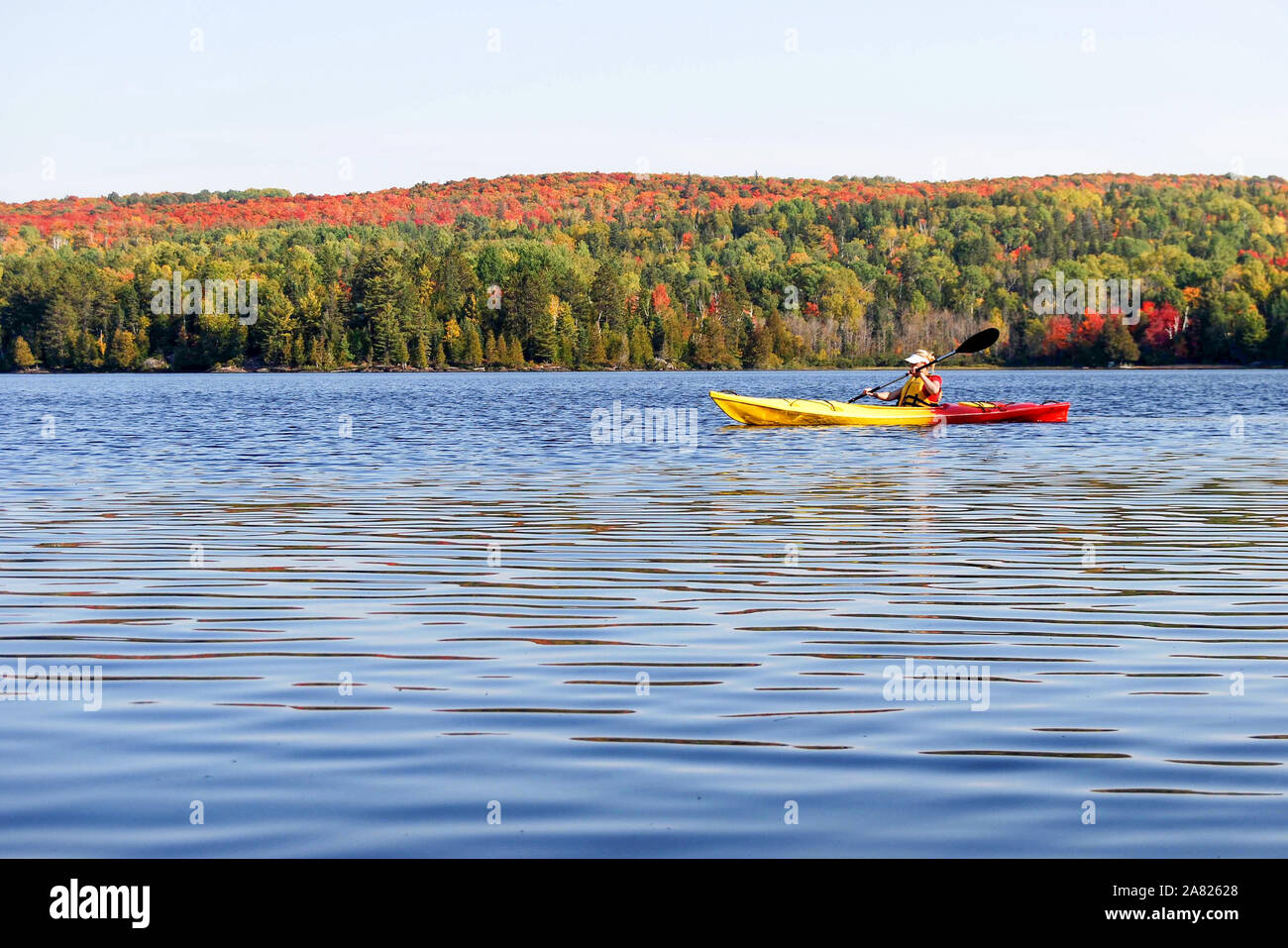 Indian Summer an einem See in Algonquin Provincial Park in der Nähe von Toronto im Herbst, Kanada Stockfoto