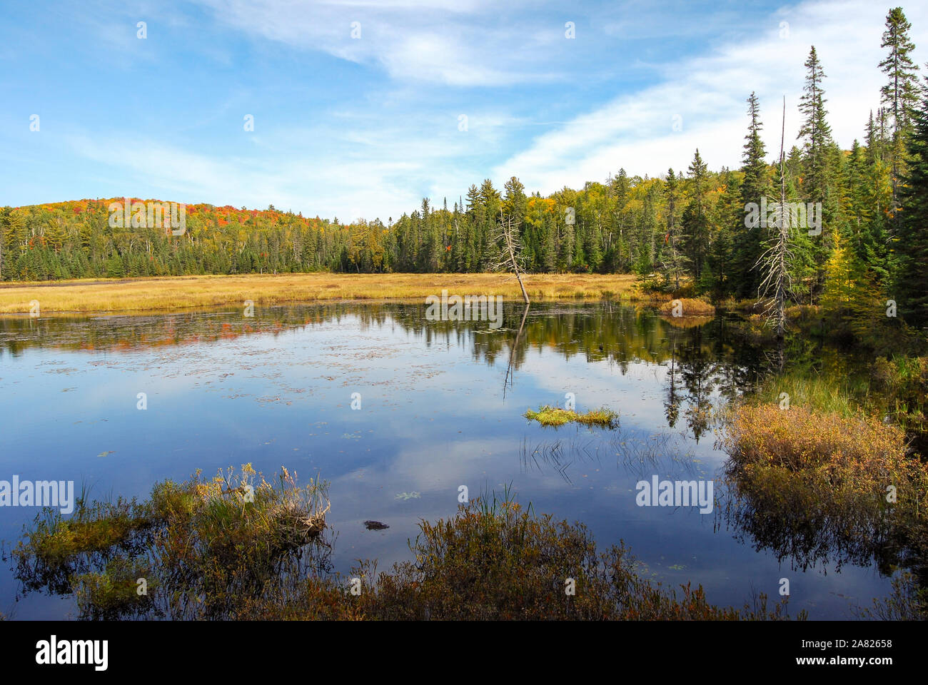 Indian Summer an einem See in Algonquin Provincial Park in der Nähe von Toronto im Herbst, Kanada Stockfoto