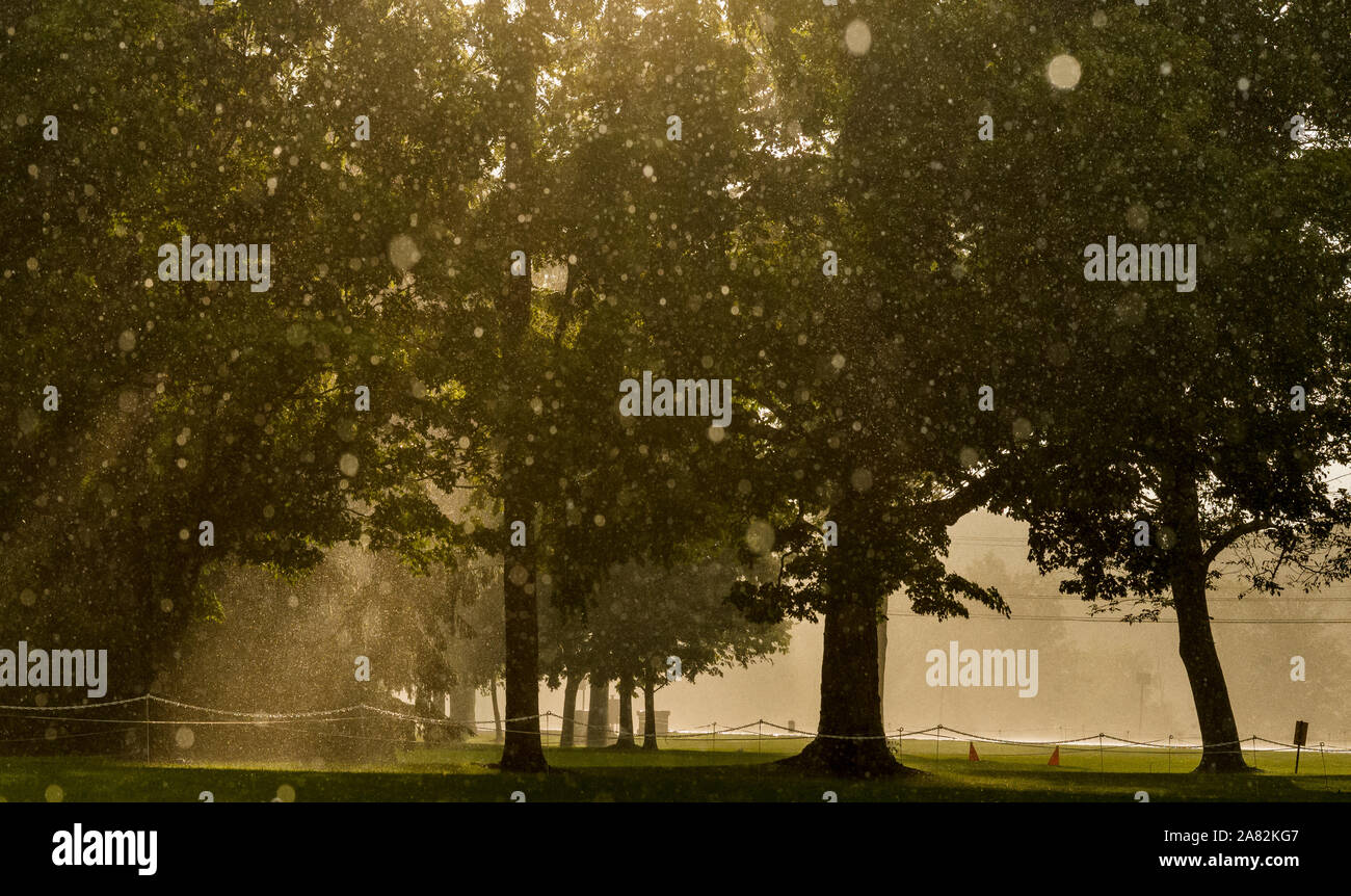 NEW YORK USA Stockfoto