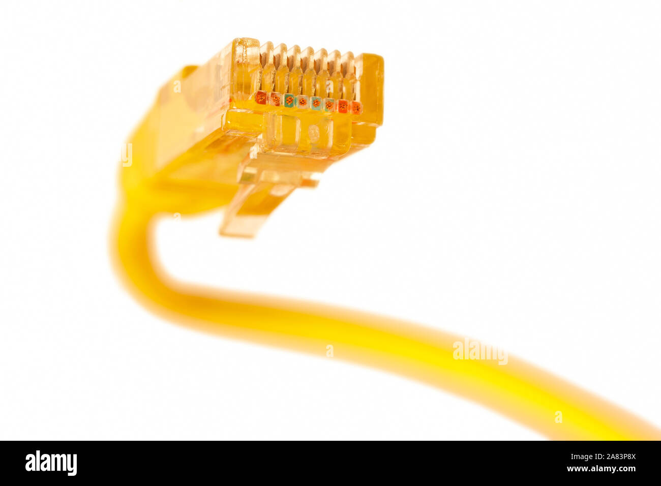 Ethernet Kabel lan Kabel Datenverbindung. Vernetzung und Kommunikation Stockfoto