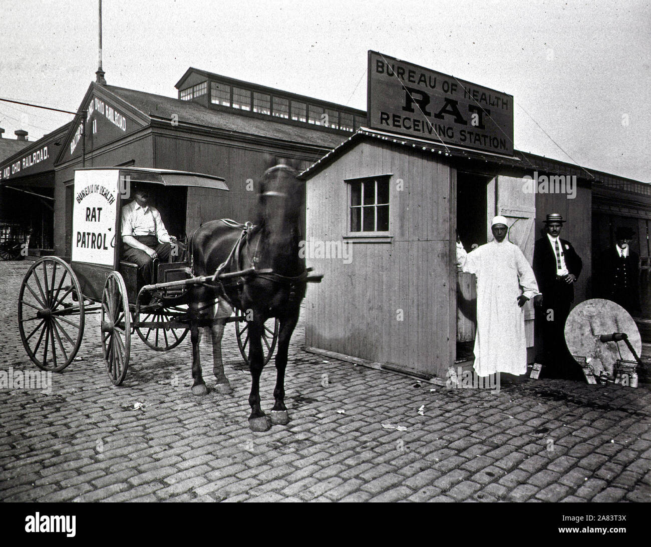 Ein Mann sitzt in einer Kutsche, die dem Präsidium der Gesundheit Ratte Patrol gehört. Drei Männer stehen an der Schwelle der empfangenden Station. Im Hintergrund sind Gebäude, Lesen: Baltimore und Ohio Railroad. Stockfoto