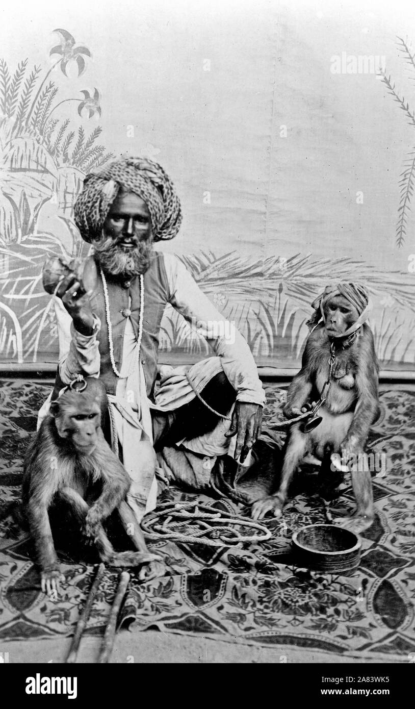 Indischer Fakir, full-length Portrait, auf Tuch mit zwei Affen sitzen. 1890-1920 Stockfoto