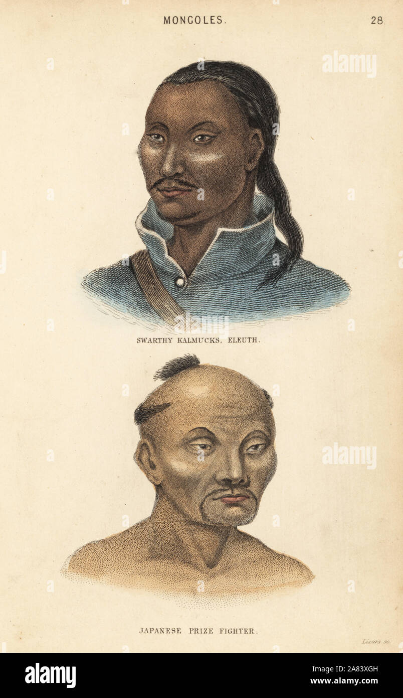 Kalmückischen Mann und Japanische Sumo-ringer mit chonmage (TOPKNOT) und Bart. So Schwarz, Kalmucks Eleuth und Japanische preisboxer. Mongoles. Papierkörbe Stahlstich von Lizars nach einer Illustration von Charles Hamilton Smith aus seinem natürlichen Geschichte der menschlichen Gattung, Edinburgh, W. H. Lizars, 1848. Stockfoto