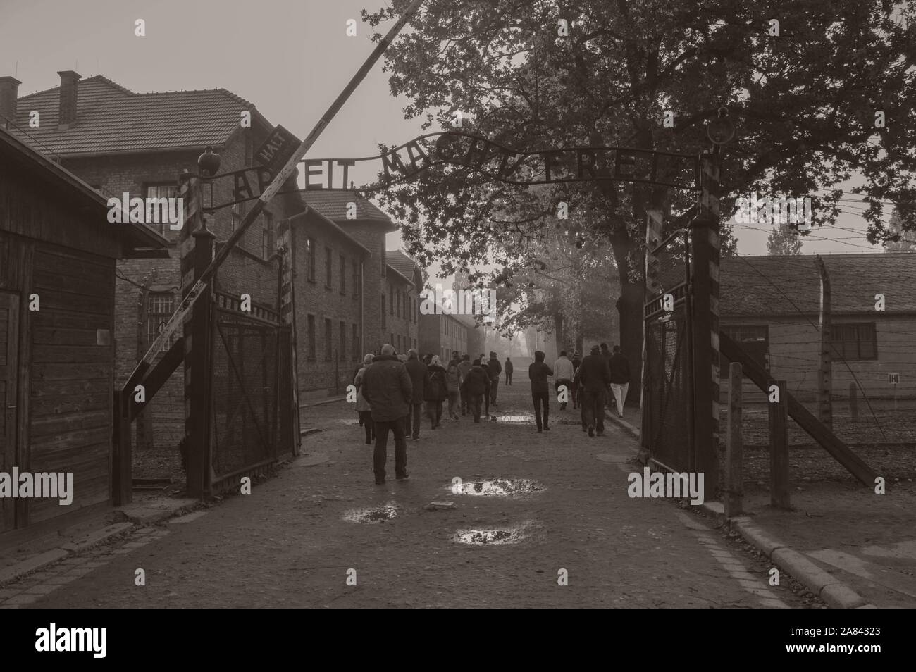 Das Haupttor des KZ-Auschwitz - Holocaust Memorial Museum Stockfoto