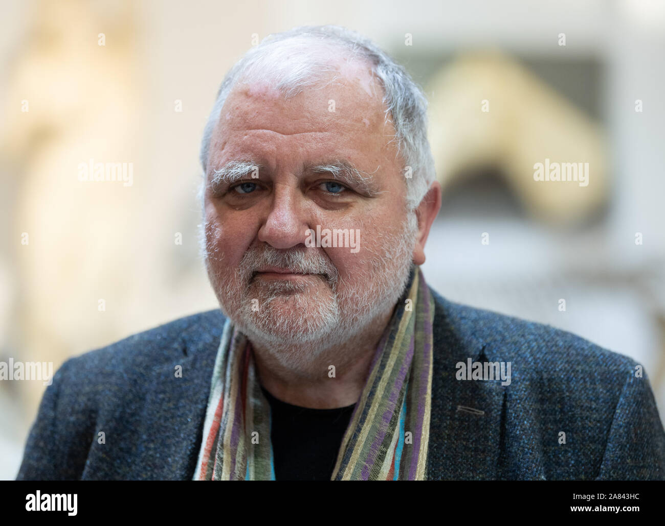 Dresden, Deutschland. 05 Nov, 2019. Matthias Flügge, Rektor der Hochschule für Bildende Künste Dresden (HfBK), ist ein Mitglied der anatomischen Sammlung der Kunsthochschule. Die Sammlung umfasst über 700 Lehrmittel auf die tierische und menschliche Anatomie und wird voraussichtlich am 6. November zu öffnen. Credit: Robert Michael/dpa-Zentralbild/dpa/Alamy leben Nachrichten Stockfoto