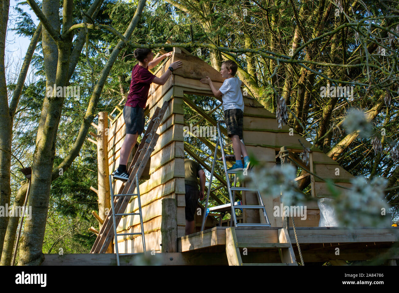 Zwei junge Jungen bauen ein Baumhaus. Stockfoto