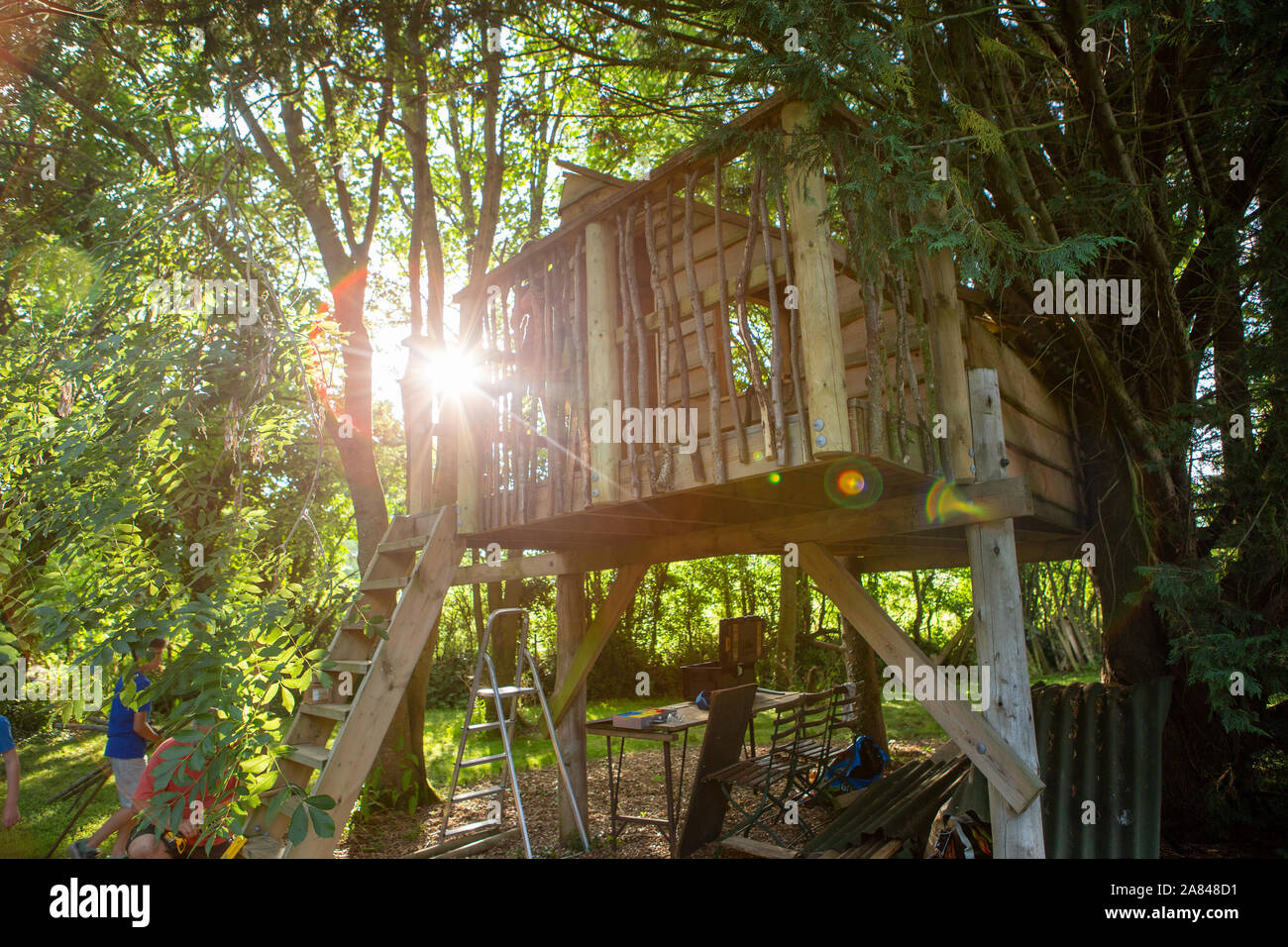 Einem Menschen, der der Balkon von a Treehouse, wie die Sonne durch die Bäume hinter ihm. Stockfoto