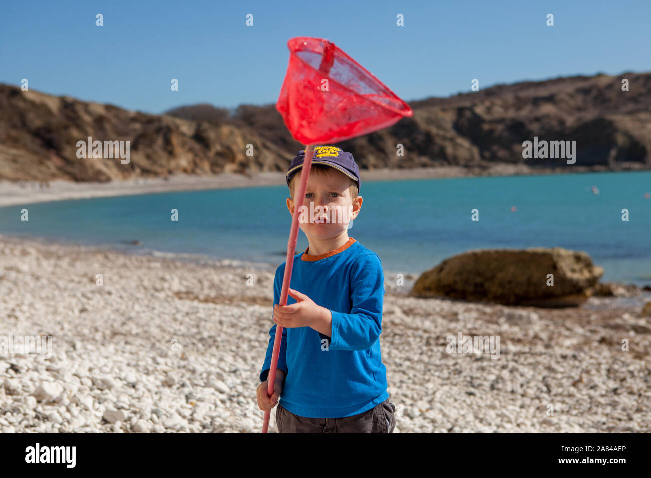 Ein kleiner Junge, der ein Fels-Pooling-Netz am Strand trägt, England. Stockfoto