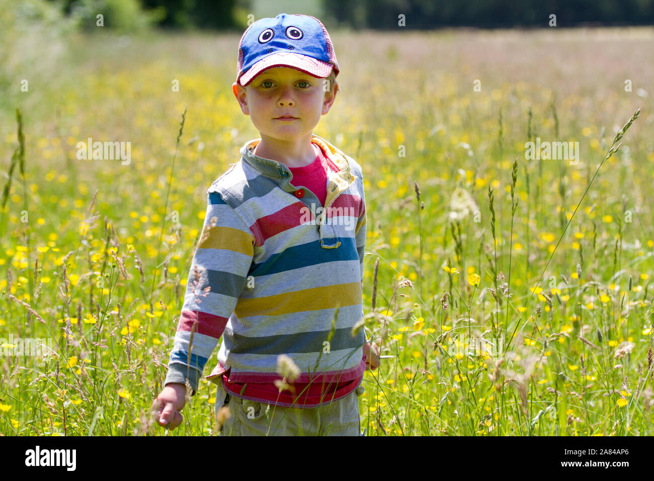 Ein junger, 4-jähriger Junge, der durch ein Feld wilder Blumen läuft, Großbritannien Stockfoto