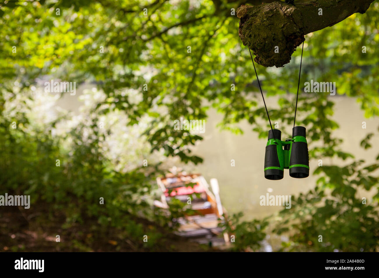 Ein Fernglas an einem Ast mit einem Fluss im Hintergrund. Stockfoto