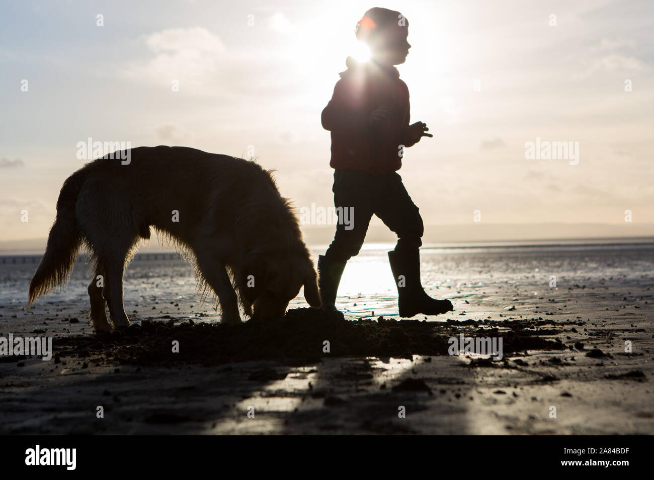Ein kleiner Junge und sein Hund Silhouetten sich an einem leeren Strand. Stockfoto