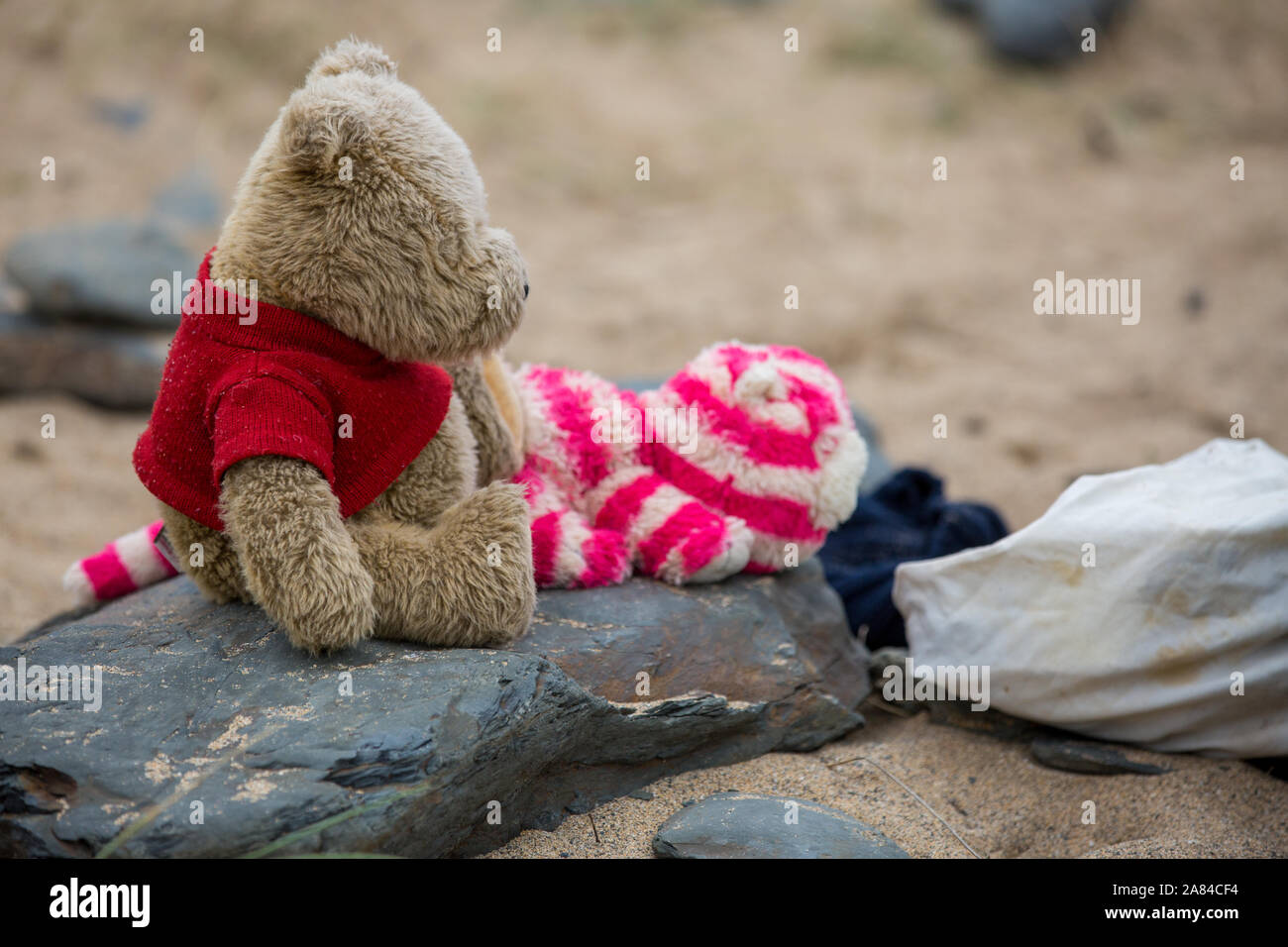Zwei Teddybären sitzt auf einem Felsen am Strand. Stockfoto