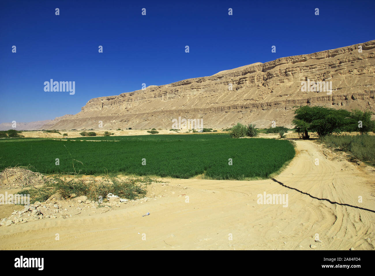 Die Festung in den Bergen im Wadi Hadhramaut, Jemen Stockfoto