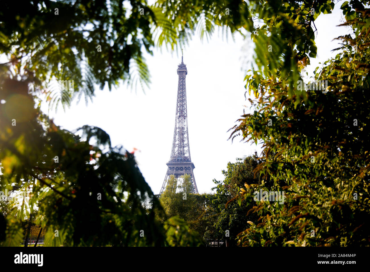 Eiffelturm zwischen Sommer Vegetation, Paris Stockfoto