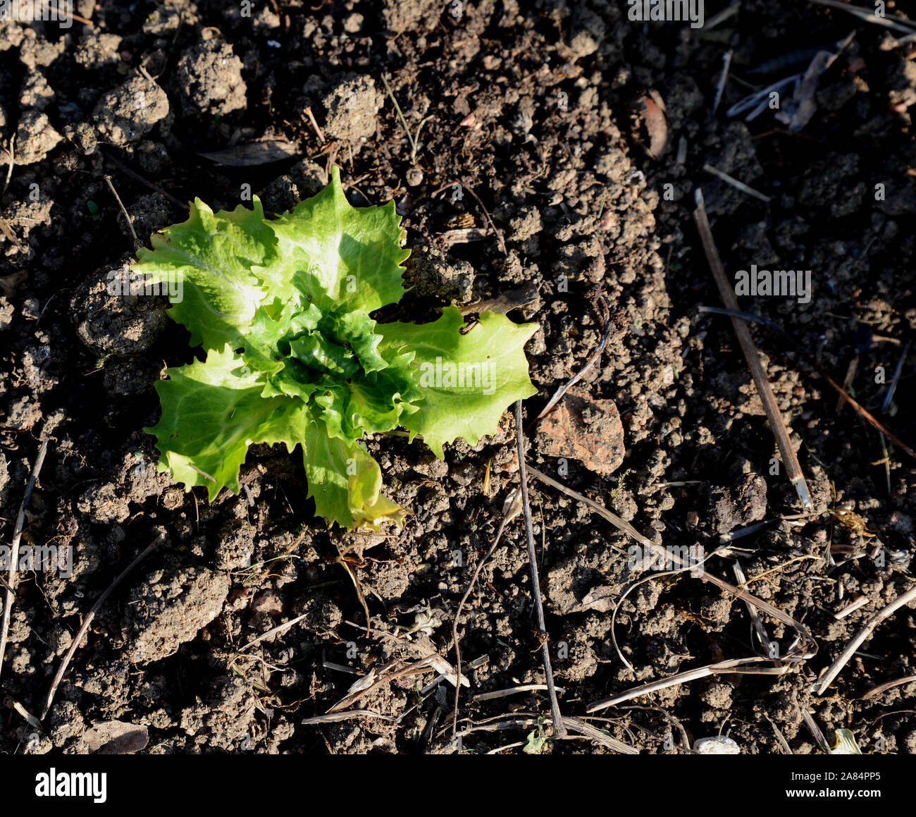 Permakultur Garten Stockfotos und bilder Kaufen Alamy