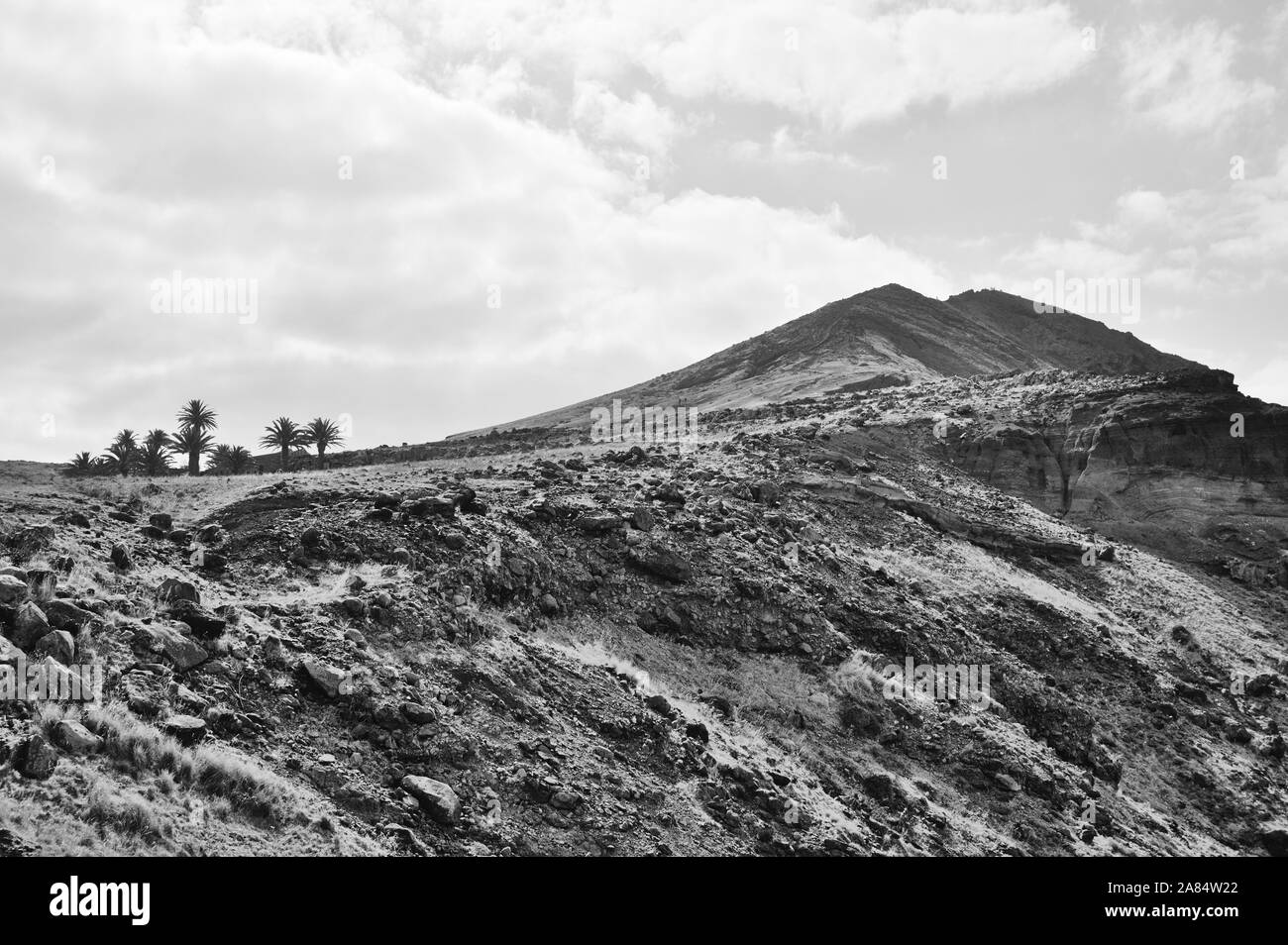 Schöne Landschaft mit einem isolierten Hügel und Palmen (Madeira, Portugal, Europa) Stockfoto