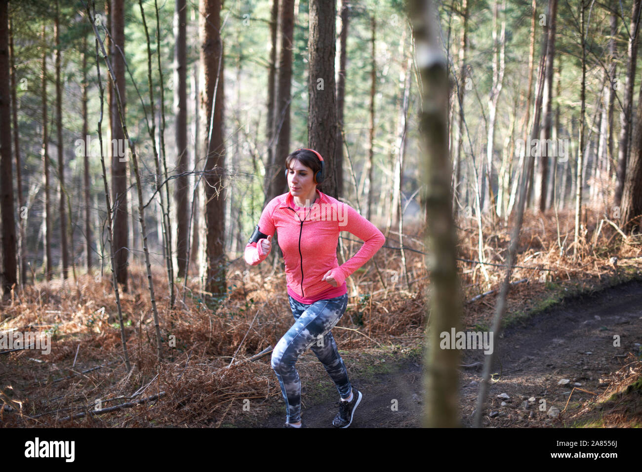 Frau läuft auf Trail im Herbst Wald Stockfoto