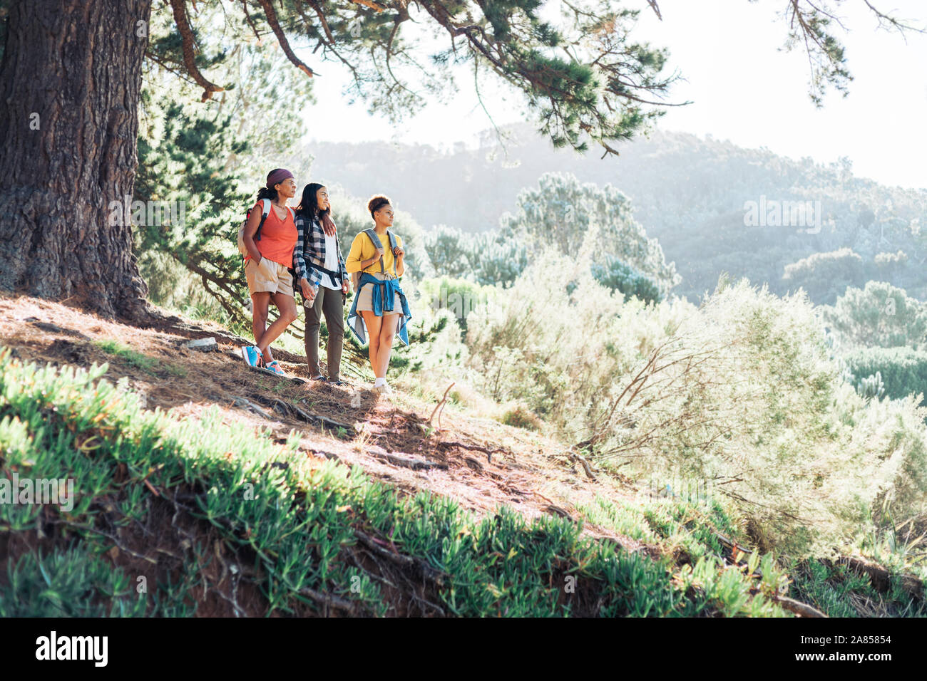 Mutter und Töchter im sonnigen Wald wandern Stockfoto
