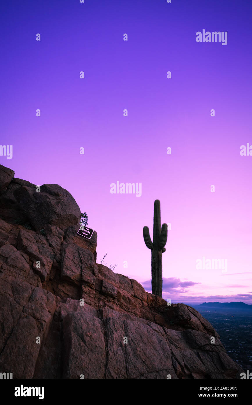 Wunderschöne Landschaft Silhouette von Lone Kaktus gegen purple sky Stockfoto