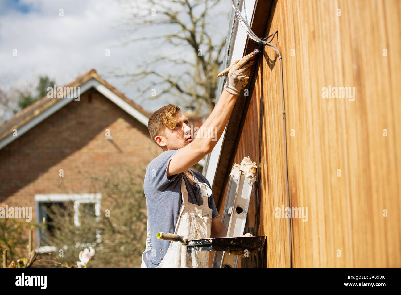 Männliche Maler auf der Leiter lackieren Home äußere Abdeckleiste Stockfoto