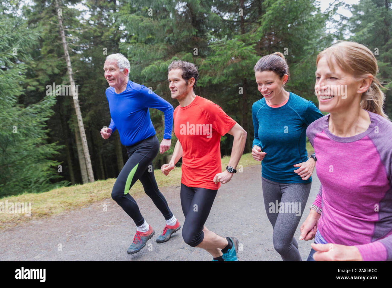 Familie Jogging auf Trail im Wald Stockfoto