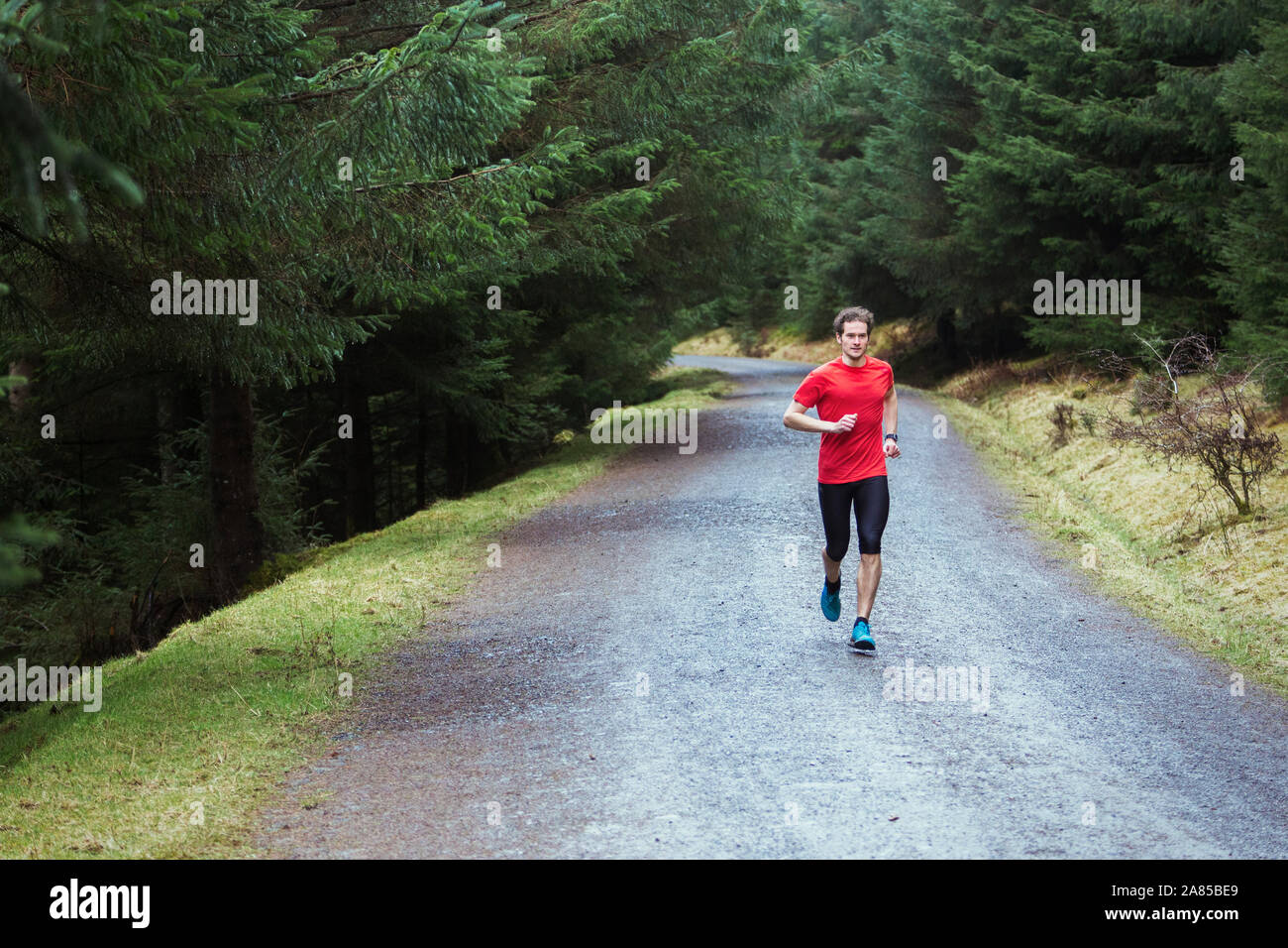 Man joggen auf Trail im Wald Stockfoto
