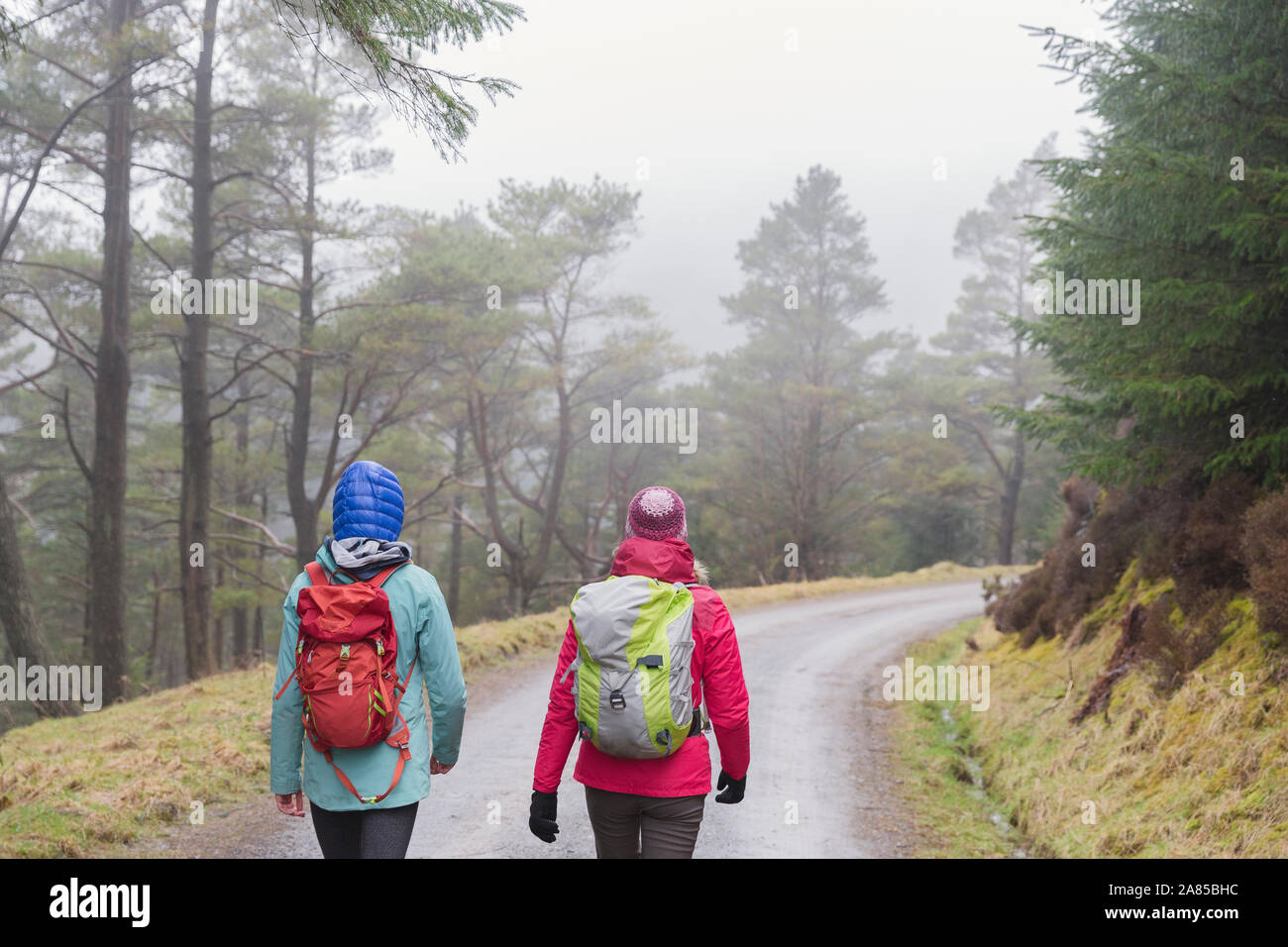 Frauen wandern auf Trail im regnerischen Wald Stockfoto