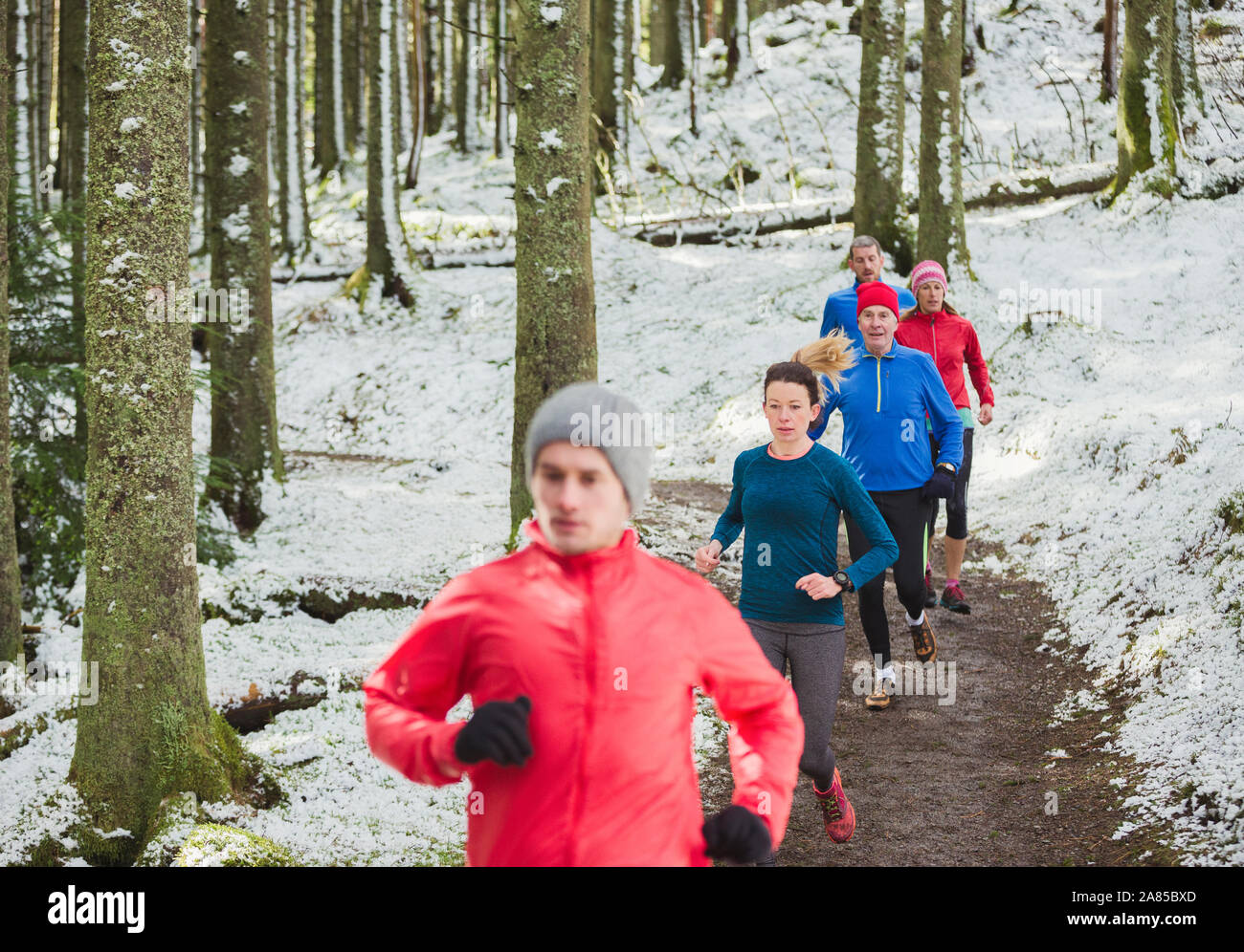 Freunde Jogging auf Trail im verschneiten Wald Stockfoto