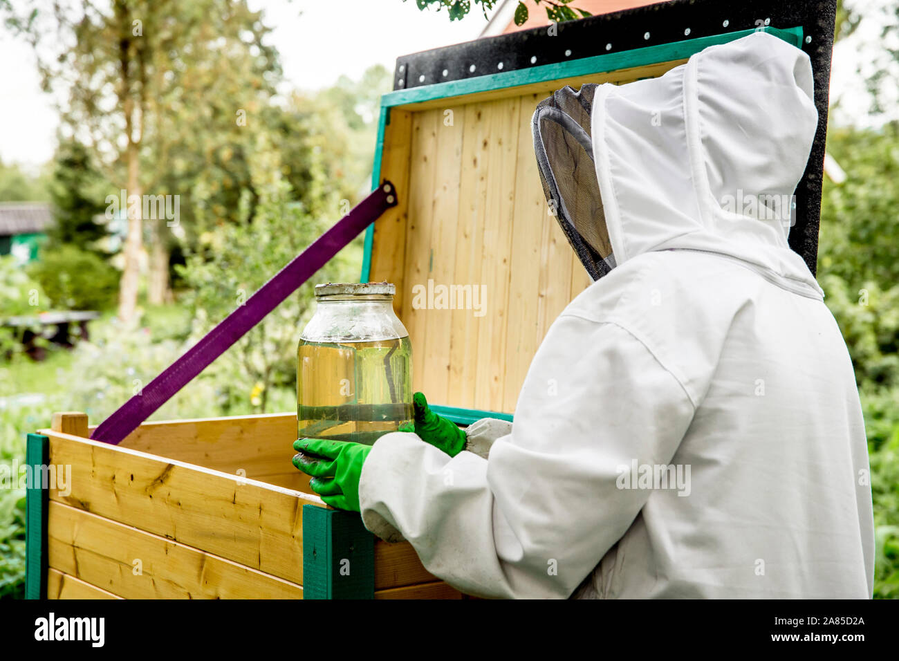 Vorbereitung der Bienen für den Winter, Imker Bienen füttern mit Glas hausgemachte Zuckersirup im Herbst, so dass Sie den kalten Winter im Norden Europas überleben. Stockfoto