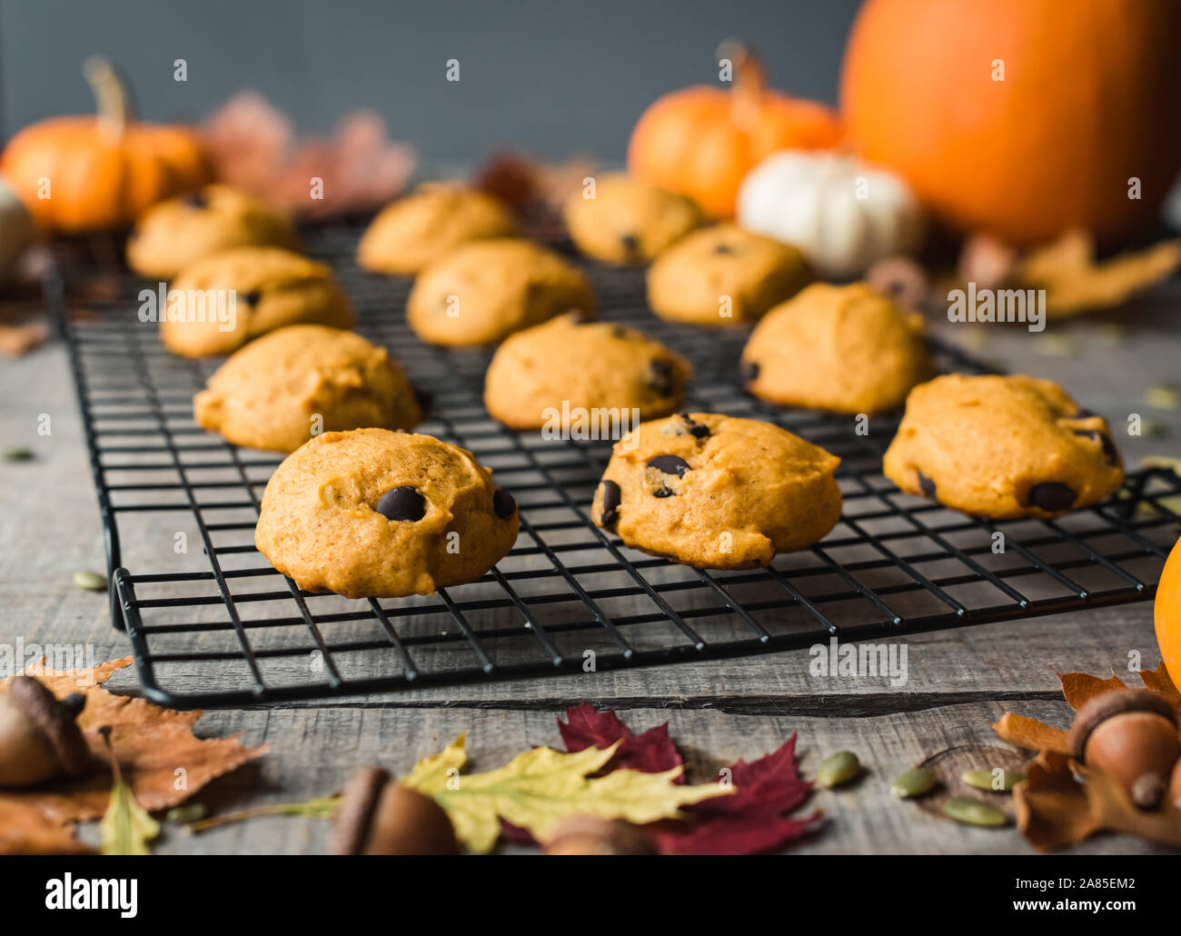 Nahaufnahme von Kürbis Chocolate Chip Cookies auf einem Gitter. Stockfoto