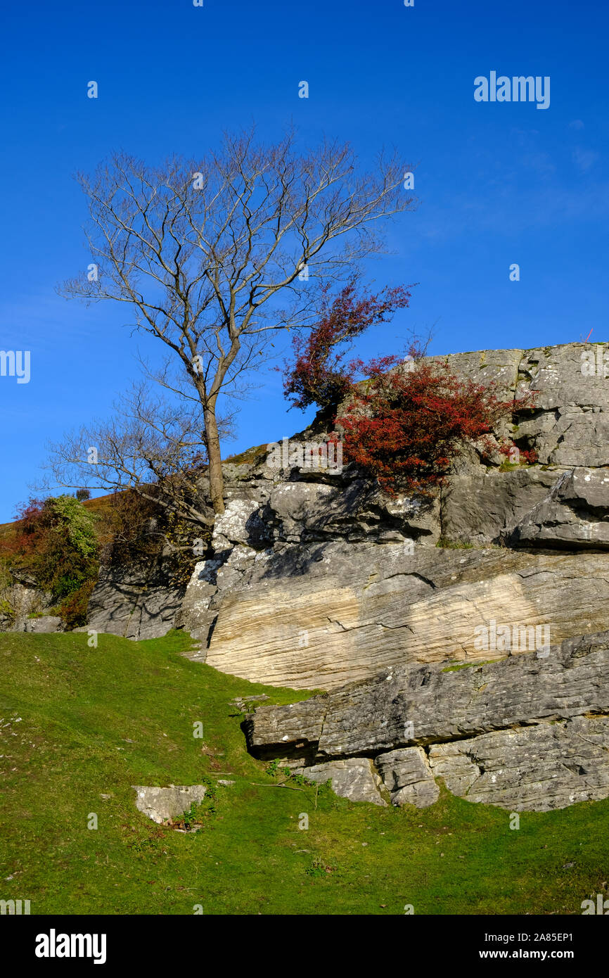Herbstfarbe im Dee Valley Llangollen Denbighshire Wales Stockfoto