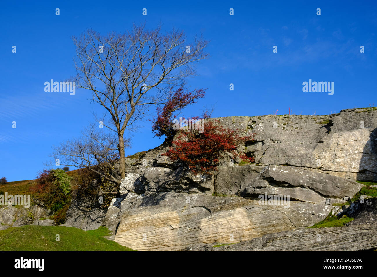 Herbstfarbe im Dee Valley Llangollen Denbighshire Wales Stockfoto
