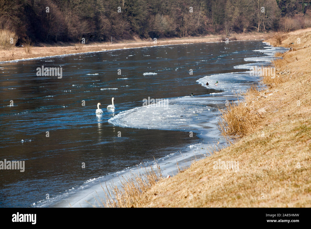 Weser im Winter, in der Nähe von Oberweser, Gewissenruh, Weserbergland, Nordrhein-Westfalen, Hessen, Deutschland Stockfoto