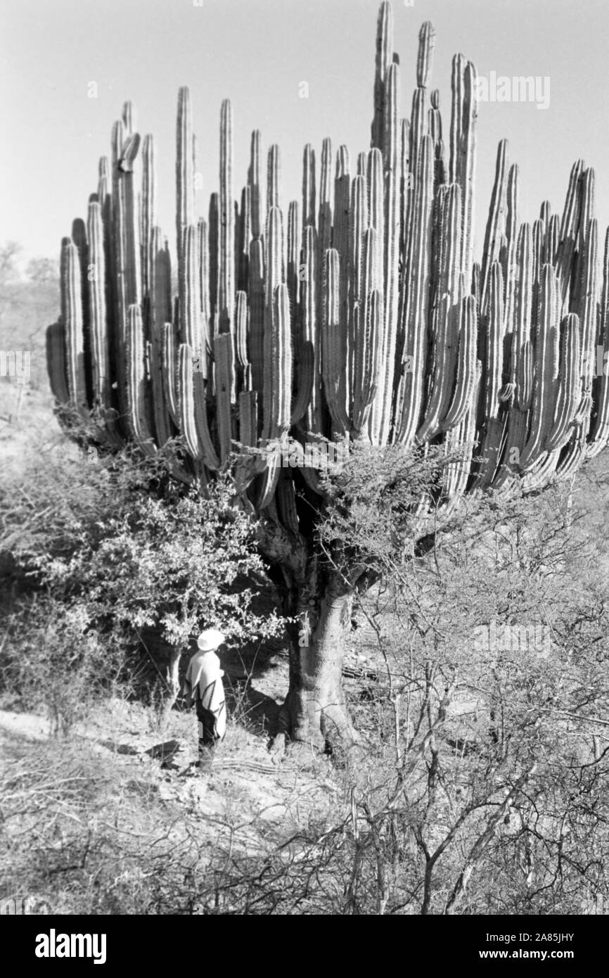 Ansichten des ländlichen Mexiko, 1960er. Blick auf ländlichen Gebieten Mexikos, 1960er Jahre. Stockfoto