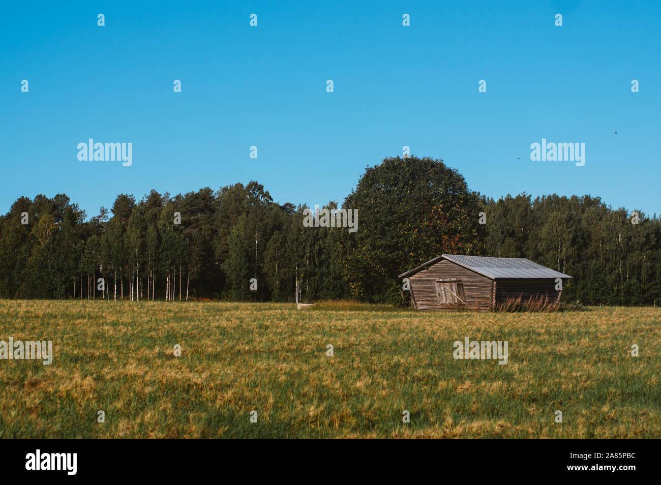 Einsame Scheune im Feld an der Straße, in der Schweden im Herbst Stockfoto