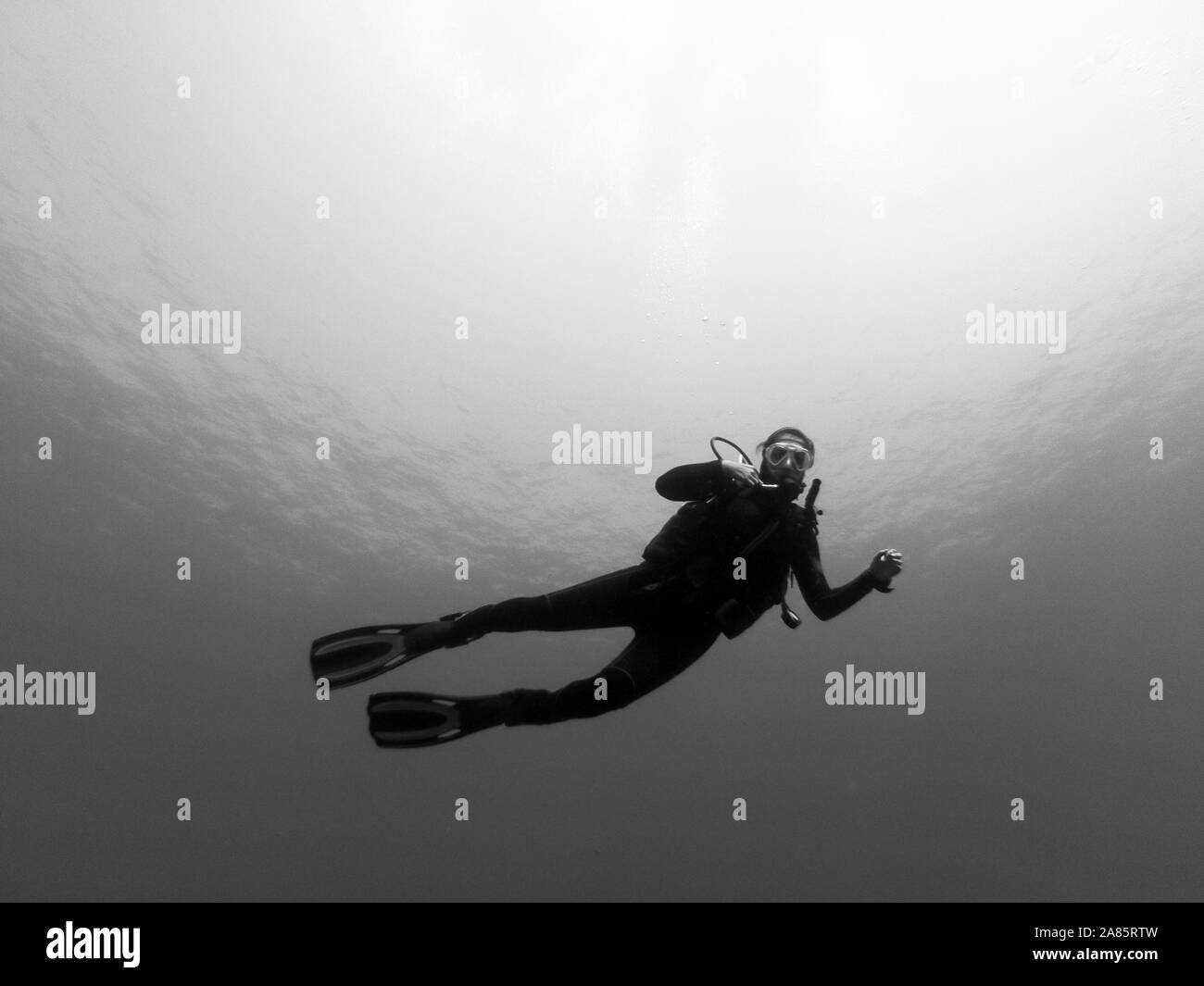 Bild einer Frau diver genießen Sie einen Tauchgang in die Gewässer der Kanarischen Inseln. Tauchen Sport Stockfoto