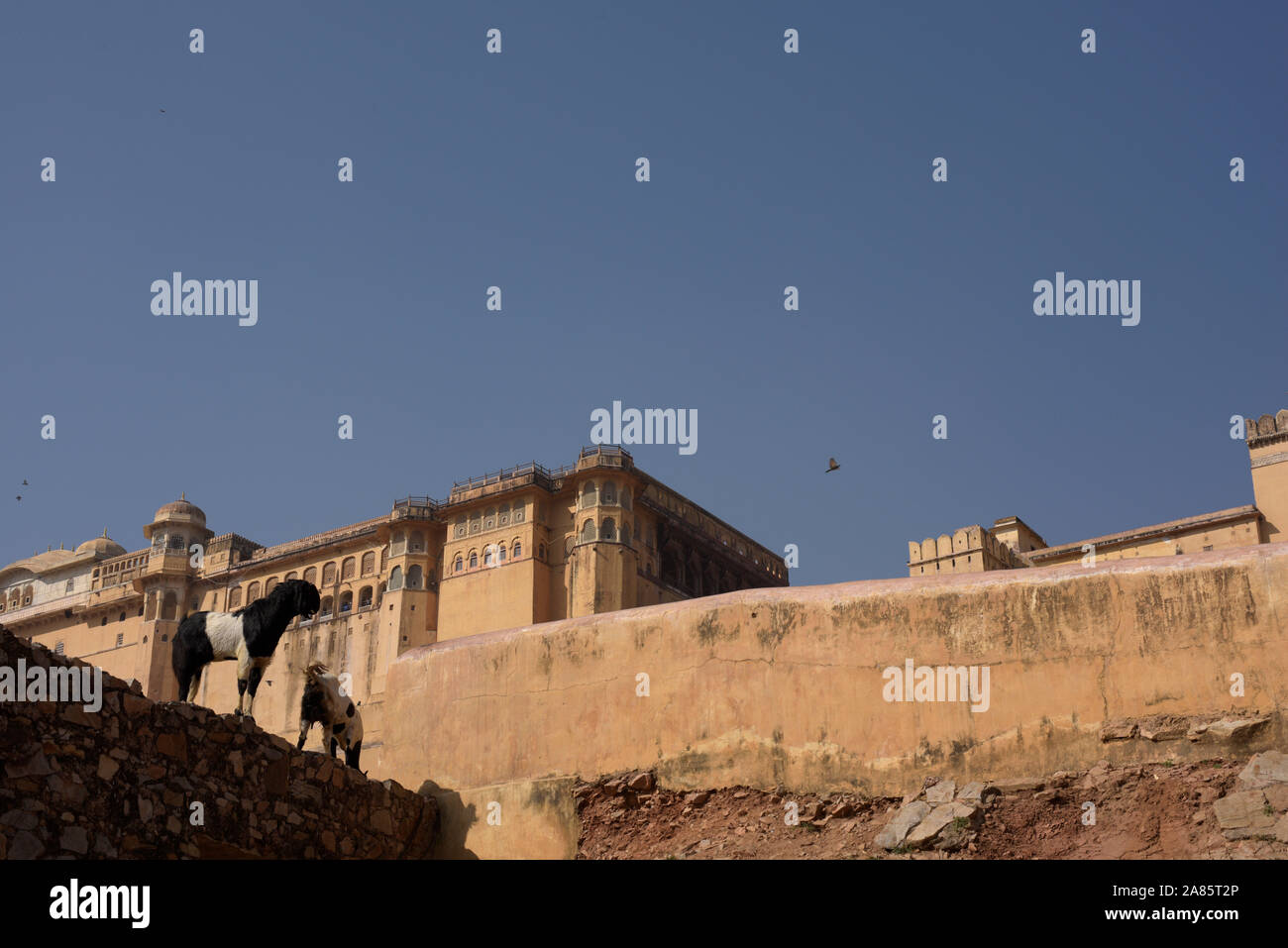 Amer Fort in Amer liegt, mit einer Fläche von vier Quadratkilometern, die Röcke von Jaipur, der Hauptstadt von Rajasthan. Die Stadt von Amer war Ursprung Stockfoto