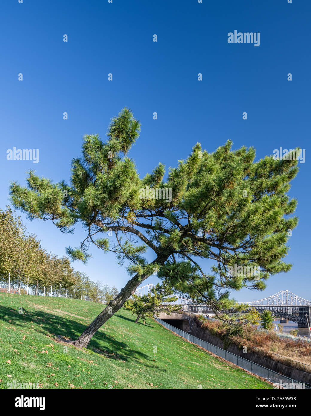 Begründung Um den Gateway Arch Stockfoto