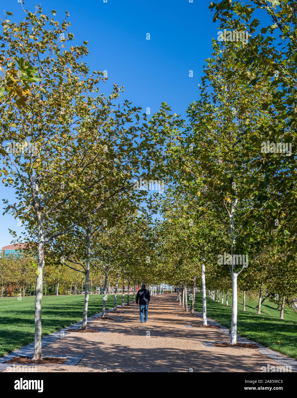 Begründung Um den Gateway Arch Stockfoto