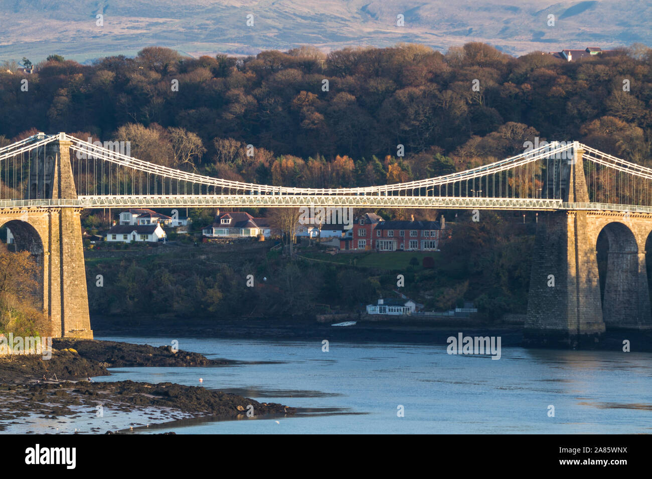 Historische Menai Bridge, welsh Pont Grog y Borth Hängebrücke über die Menai Straits, Landschaft, Bäume im Hintergrund Stockfoto