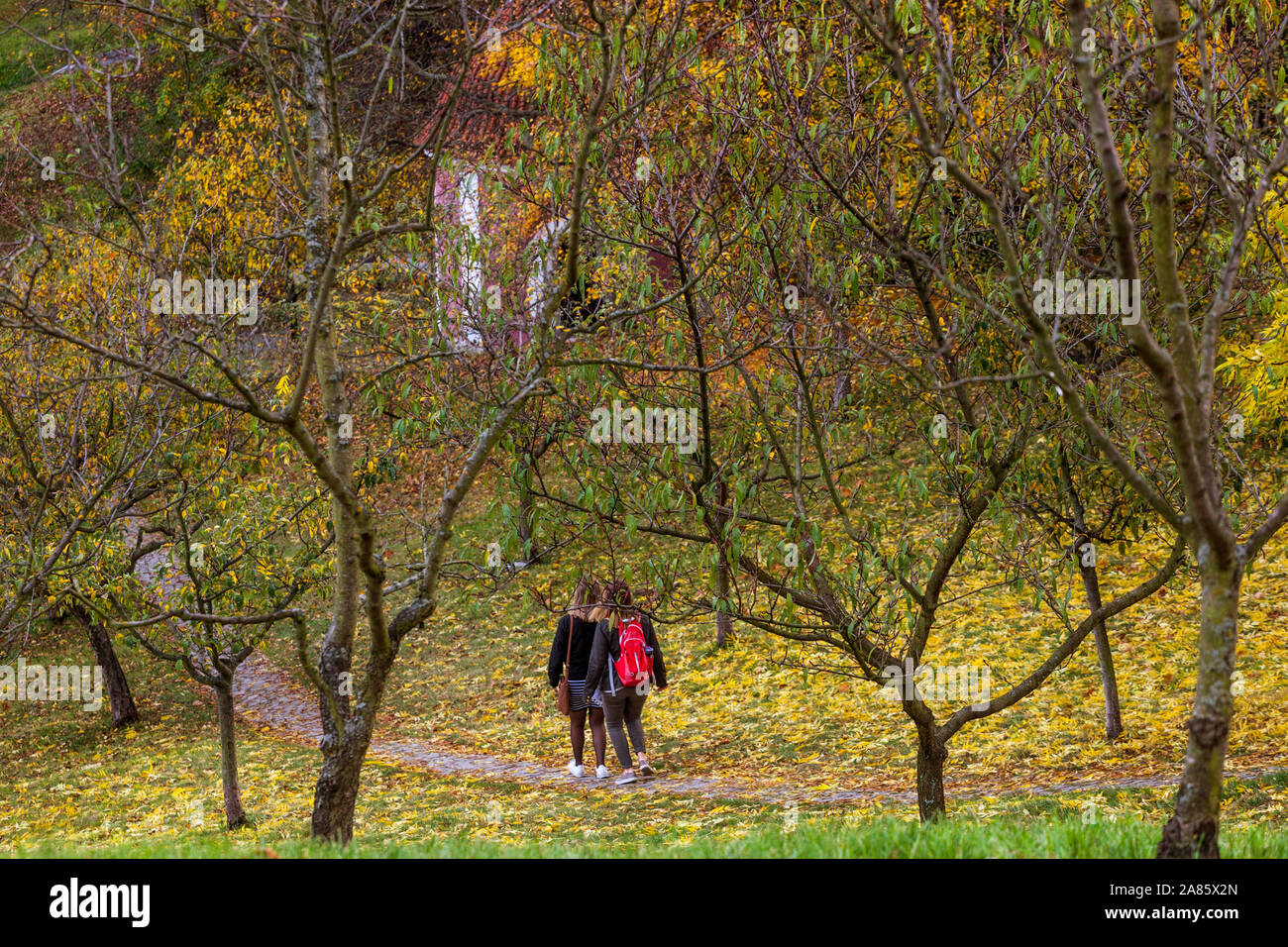 Herbst im Petrin Hill Park Prag Tschechische Republik fallende Blätter Stockfoto