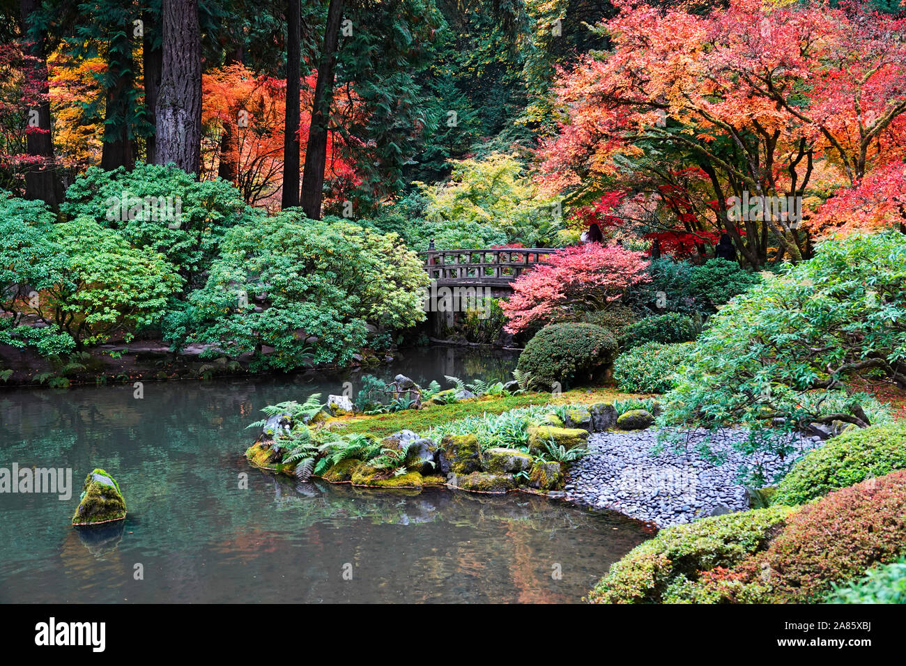 Ahorn Bäume und andere exotische Laubbäume Gelb und Rot in der ganzen Welt berühmte Japanische Gärten in Portland, Oregon, im Herbst. Stockfoto