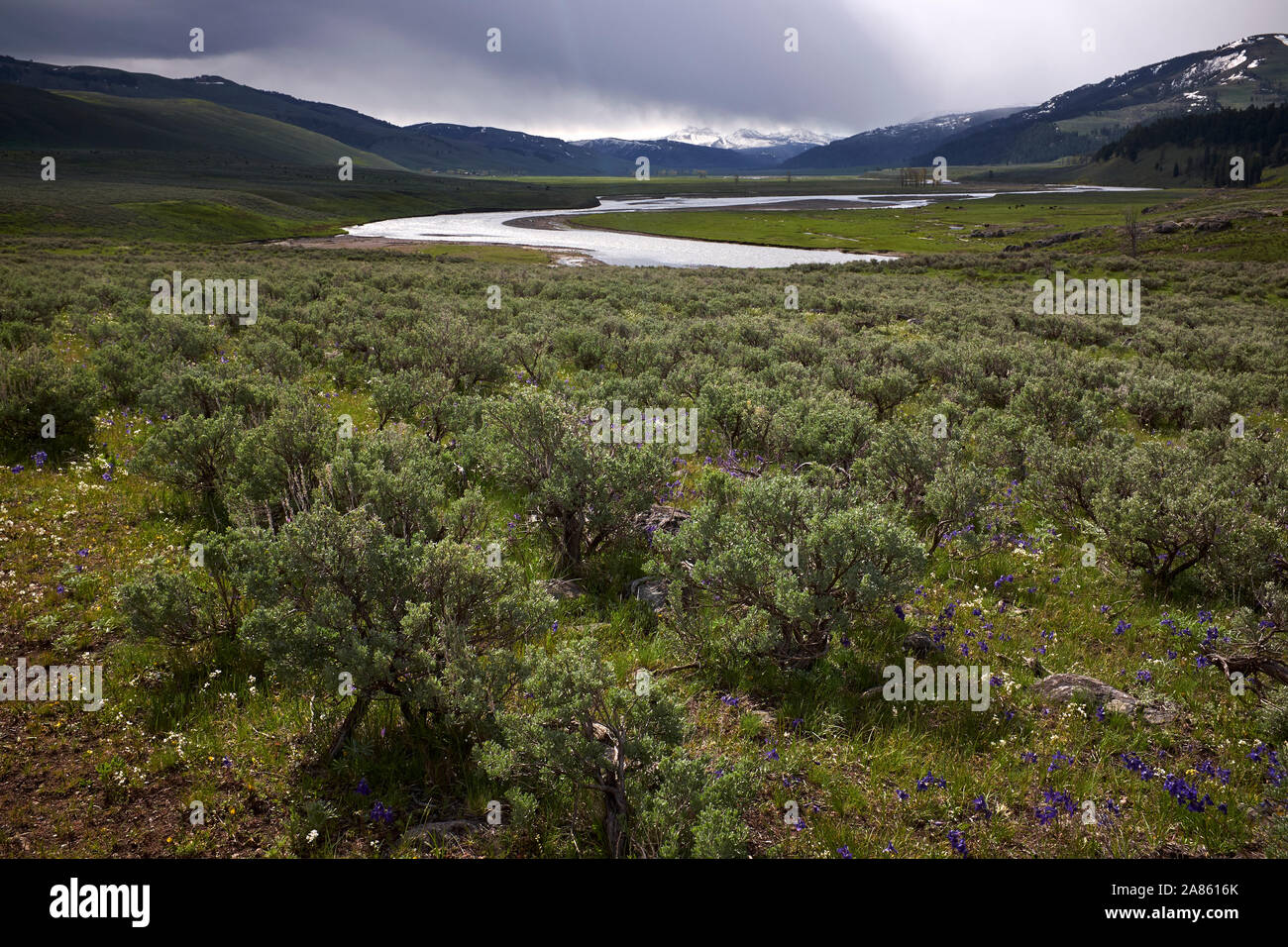 Berglandschaft im Lamar Valley, Yellowstone National Park, Wyoming, USA Stockfoto